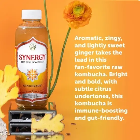 Synergy The Real Kombucha, Gingerade &ndash; 16 fl oz image {4}