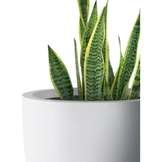 Rosemead Home & Garden, Inc. Concrete Outdoor Planter Pot White 18"x18" image {3}
