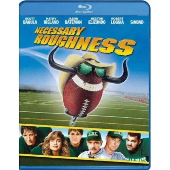 Necessary Roughness image {2}