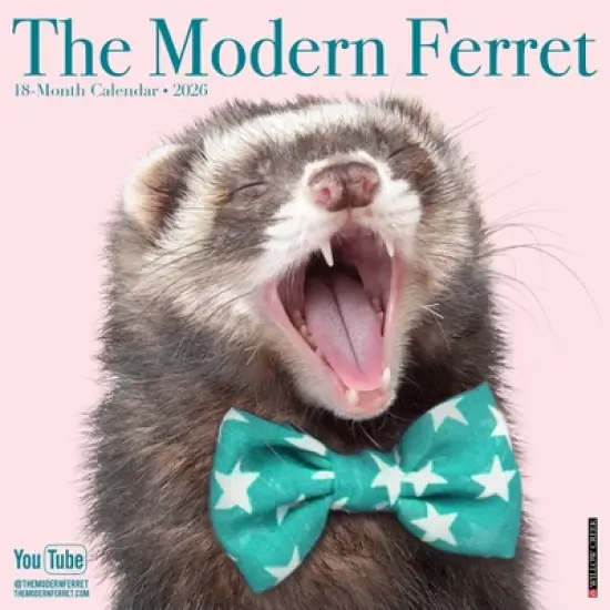 Willow Creek Press 2026 The Modern Ferret Wall Calendar image {5}