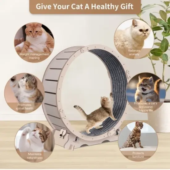 YOOCOZZ 41" Cat Exercise Wheel for Indoor Cats, Cat Running Wheel with Carpeted Runway-Natural image {9}