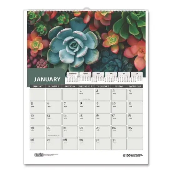 House of Doolittle Recycled Succulent and Cacti Wall Calendar 12-Month January 2026 to December 2026 Multicolor Sheets 14 x 11 image {1}