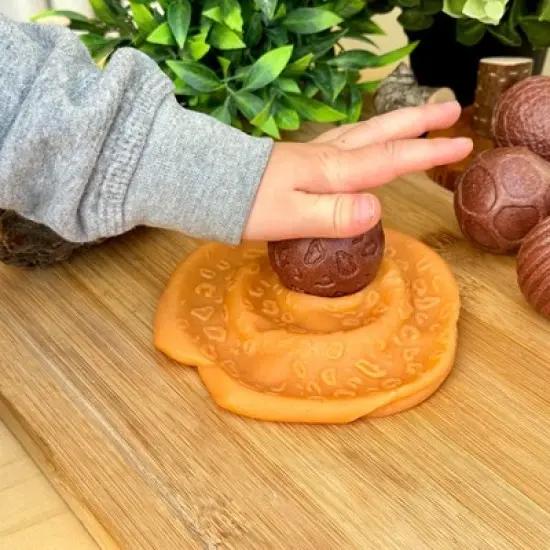 Yellow Door Roll Around - Wild Animals image {5}