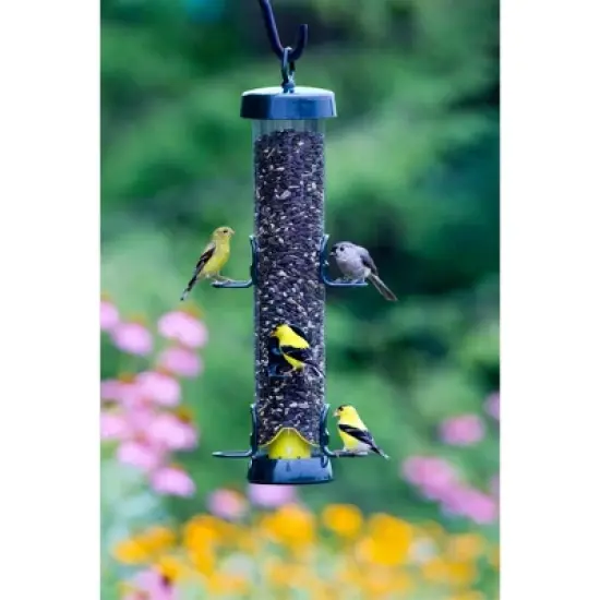 Brome Tube Solution 200 Wild Bird Feeder, 3.4 lb Capacity, Clear image {3}