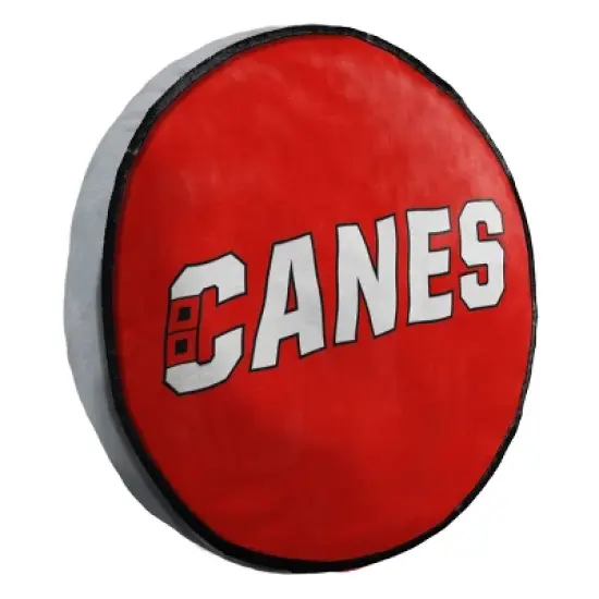 NHL Carolina Hurricanes Team Pride Cloud Pillow image {1}