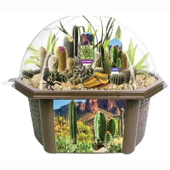 Toys By Nature: Desert Dome - DIY Terrarium Kit, Grow Mini Cacti & Succulent image {1}