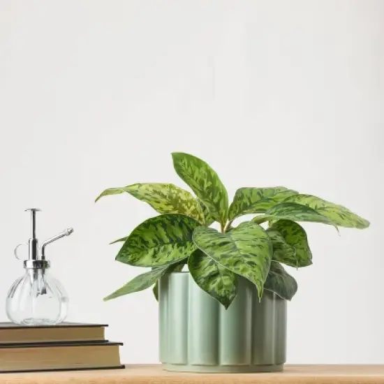 Greenwich Foliage - Good Little Garden&trade; image {11}