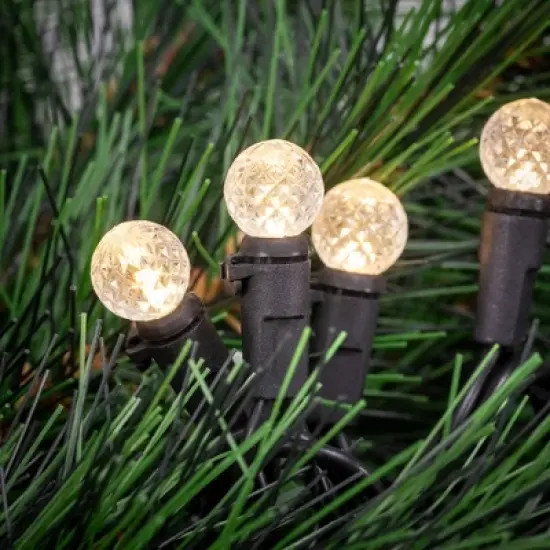 Northlight LED G12 Berry Christmas Lights - Warm White - 16' Black Wire - 50 ct image {1}