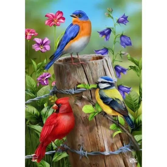 Briarwood Lane Spring Garden Flag 12x18 For Outdoor Fence Post Birds For Spring Garden Flag Flags For Outside image {4}