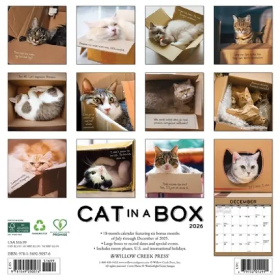 Willow Creek Press 2026 Cat in a Box Wall Calendar image {1}