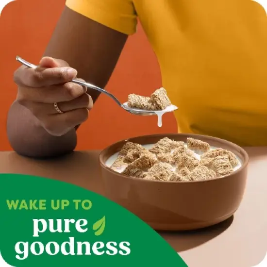 Kashi Organic Cinnamon Harvest Breakfast Cereal - 18oz image {3}