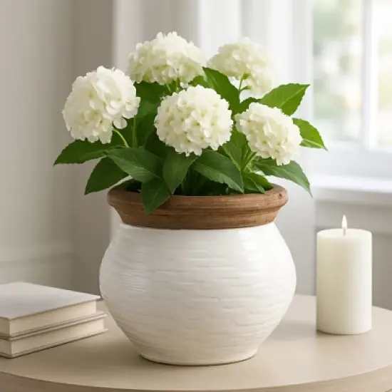 Modern Ceramic Flower Pot and Planter - Indoor and Outdoor Use - Earthy Decorative Accent for Room, Garden, Patio, or Entryway Decor - 7" White & Tan image {1}