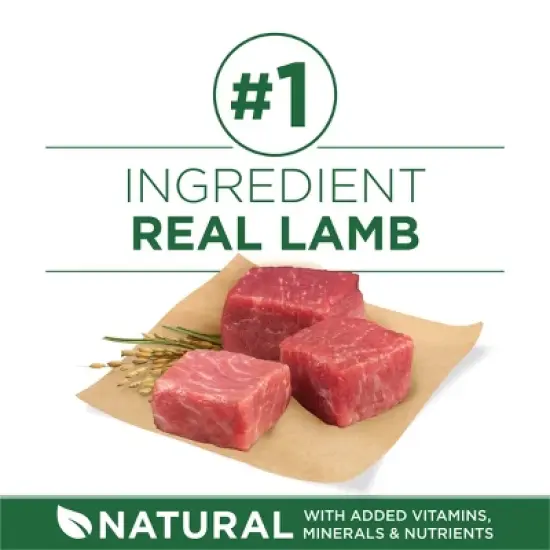 Purina ONE SmartBlend Small Breed Natural Lamb Flavor Dry Dog Food image {2}