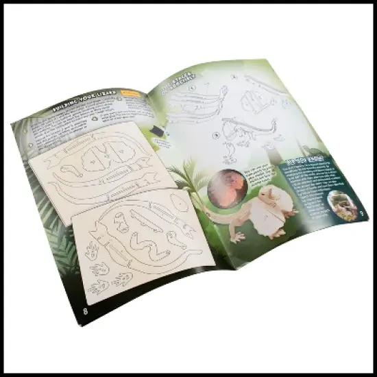 WILD! Environmental Science Amazing and Bizarre Lizards of the World image {2}