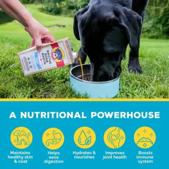Brutus Bone Broth Hip & Joint Formula Wet Dog Food - Supplement - Beef - 32oz image {8}