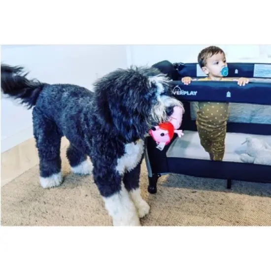 Coverplay Play Yard With Changing Table/Bassinet - Black image {6}