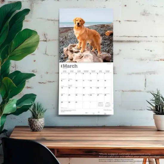 BrownTrout Golden Retrievers 2026 12"x24" Hanging Square Wall Calendar Plastic-Free image {4}