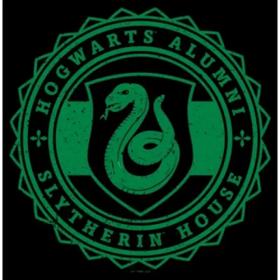Women's Harry Potter Hogwarts Alumni Slytherin House T-Shirt image {1}