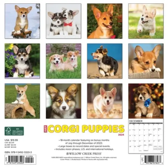 Willow Creek Press 2024 Wall Calendar 12"x12" Just Corgi Puppies image {1}