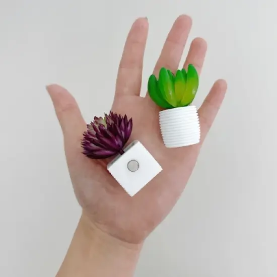 Wrapables 3D Resin Fridge Magnets, Succulents Refrigerator Magnets for Kitchen (Set of 5), Succulent image {4}