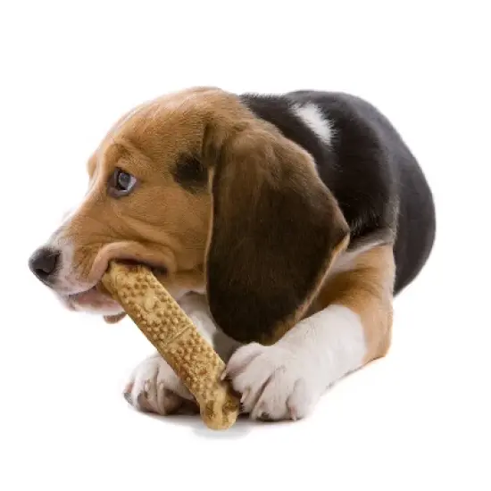 Nylabone Natural Medium Nubz Chicken Flavored Chewy Dental Treats Dog Treats - 12ct image {4}