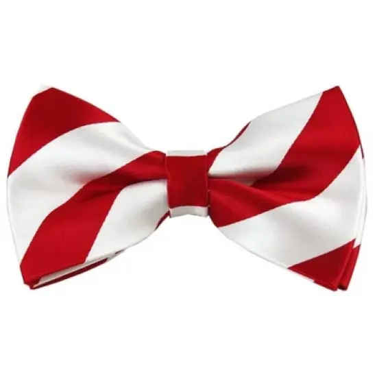 Men's 2.75 W And 4.75 L Inch With Pre-Tied College Stripe Bowtie image {2}