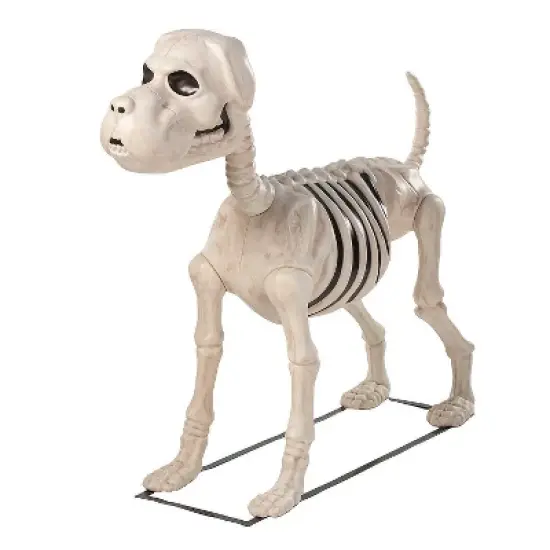 Morris Costumes 4 Ft. Standing Dog Skeleton Halloween Decoration image {1}