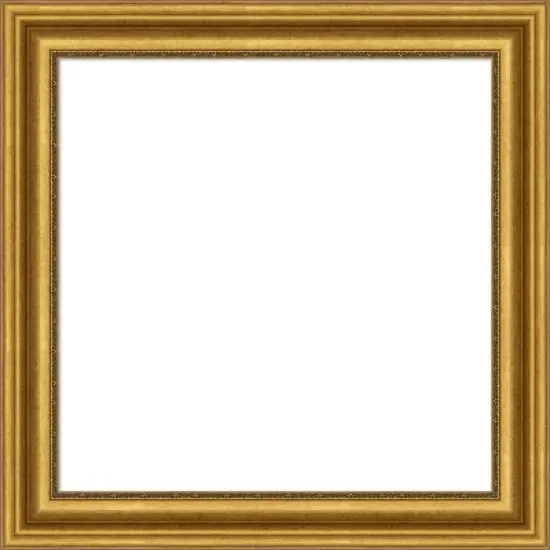 Amanti Art Parlor Gold Framed Magnetic Dry Erase Board image {13}
