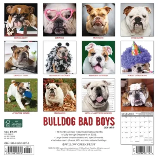 Willow Creek Press 2024 Wall Calendar 12"x12" Bulldog Bad Boys image {1}