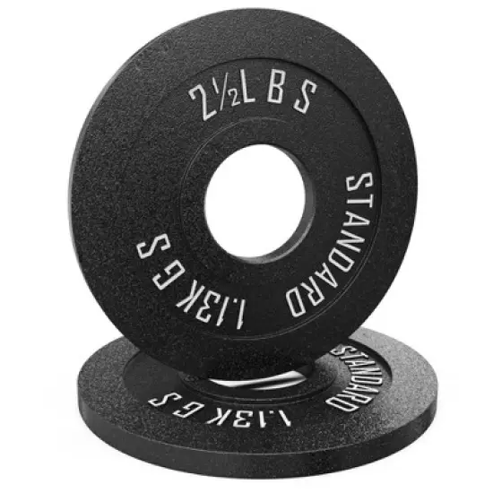 Synergee Standard Metal Weight Plates image {9}