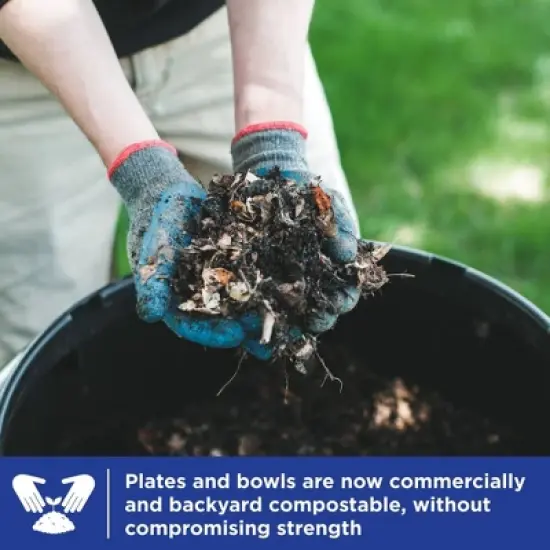 Dixie Ultra Dinner Paper Bowls - 28ct/20oz image {7}