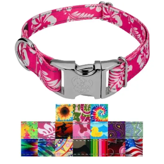 Country Brook Petz Premium Reflective Dog Collar image {5}