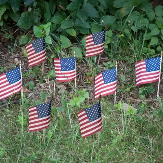 4"x6" 8pc Stick Flags image {1}