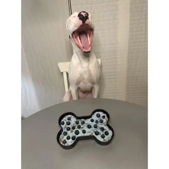 Midlee Nonstick Bone Shape Pan (Cake) image {7}