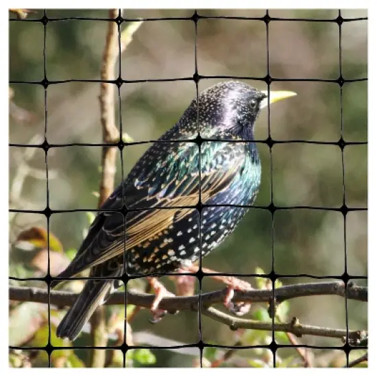 100'x14' Standard Bird Netting - Bird-X image {3}