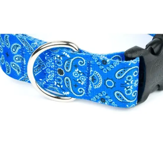 Country Brook Petz HossFit Jr Wide Deluxe Dog Collar - Country and Western Collection image {1}