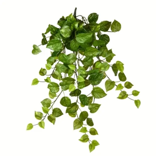 Vickerman Artificial Pothos Hanging Bush image {4}