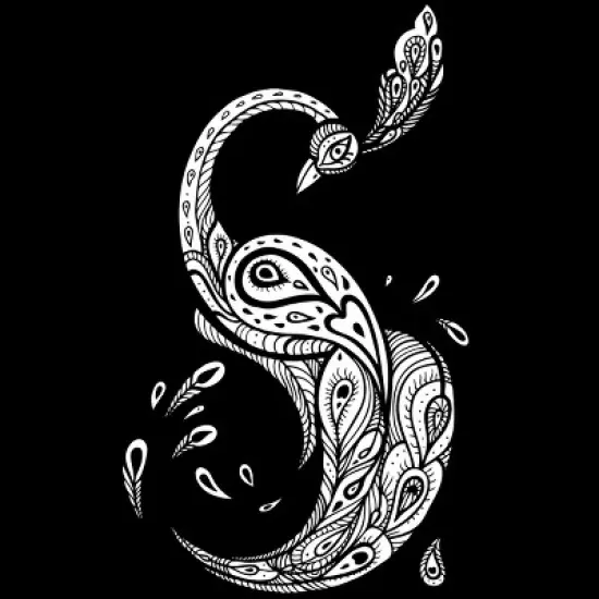 Junior's Design By Humans Beautiful Peacock. Decorative illustration. By Katyau T-Shirt image {1}