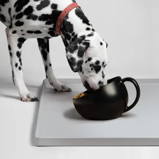 DogBuddy Dog Bowl, Dog Bowls for Large Dogs, Non-Slip Dog Bowl, Dog Water Bowl, Dog Food Bowls image {5}