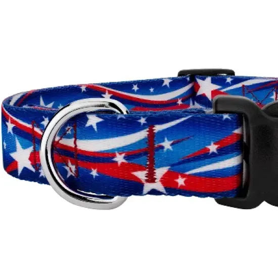 Country Brook Petz Star Spangled Deluxe Dog Collar and Leash image {3}