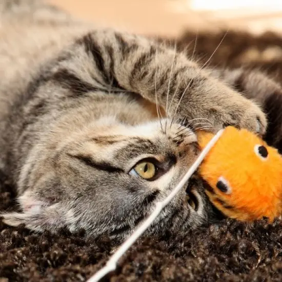 Pet Adobe Cat Activity Center - Interactive Play Area With Hanging Toys for Cats and Kittens image {3}