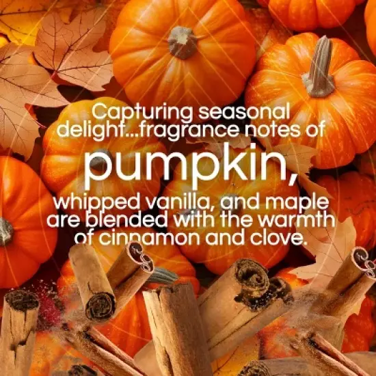 Air Wick Scented Oil Air Freshener - Harvest Pumpkin & Spice - 1.34 fl oz/2pk image {3}