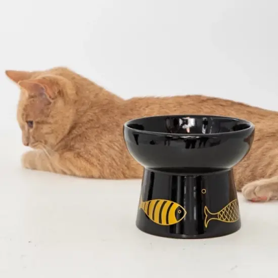 Dexypaws: Elevated Ceramic Cat Bowl, White & Navy Fish, 7oz, Pet Feeding Dish image {4}