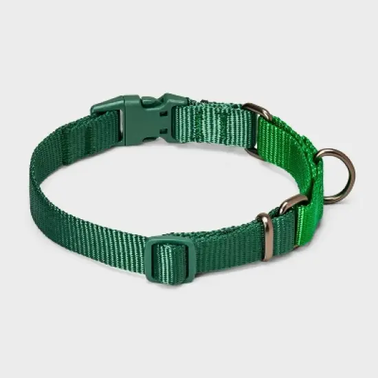 Martingale with Buckle Adjustable Dog Collar - Boots & Barkley&trade; Assorted Greens image {1}