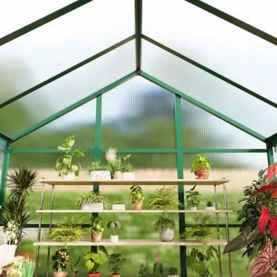 6x10 FT Aluminum Greenhouse with Roof Vent Ground Nails Lockable Push Door Large Walk-in Green House for Outside Garden Backyard Patio Lawn image {7}