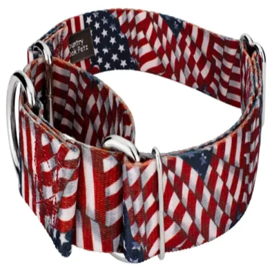 Country Brook Petz 1 1/2 Inch Patriotic Tribute Martingale Dog Collar image {3}
