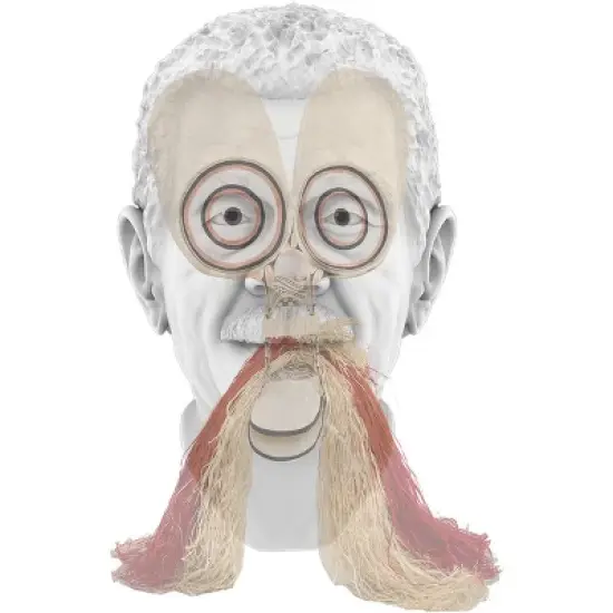 Tavares Strachan: In Plain Sight - (Hardcover) image {1}