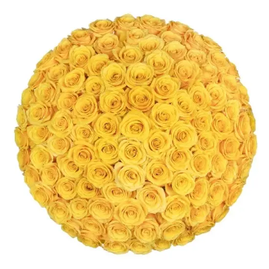 Fresh Cut Roses - 100 Stems image {13}