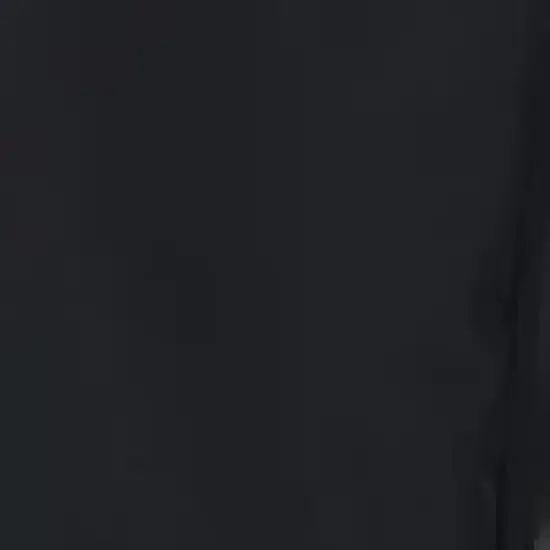 Spyder Toddler Boys Mini Expedition Ski Pants image {2}