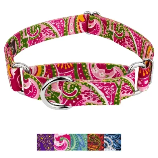 Country Brook Petz Martingale Dog Collar - Paisley Collection image {6}